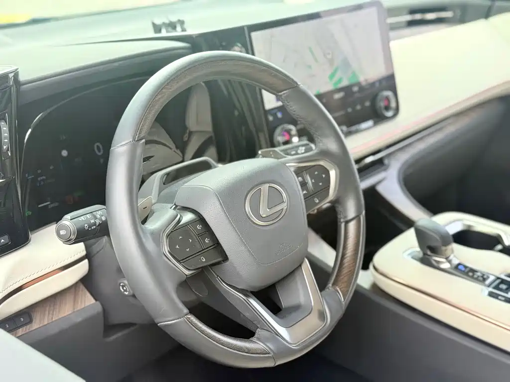 Lexus LM 2025 — фото 14