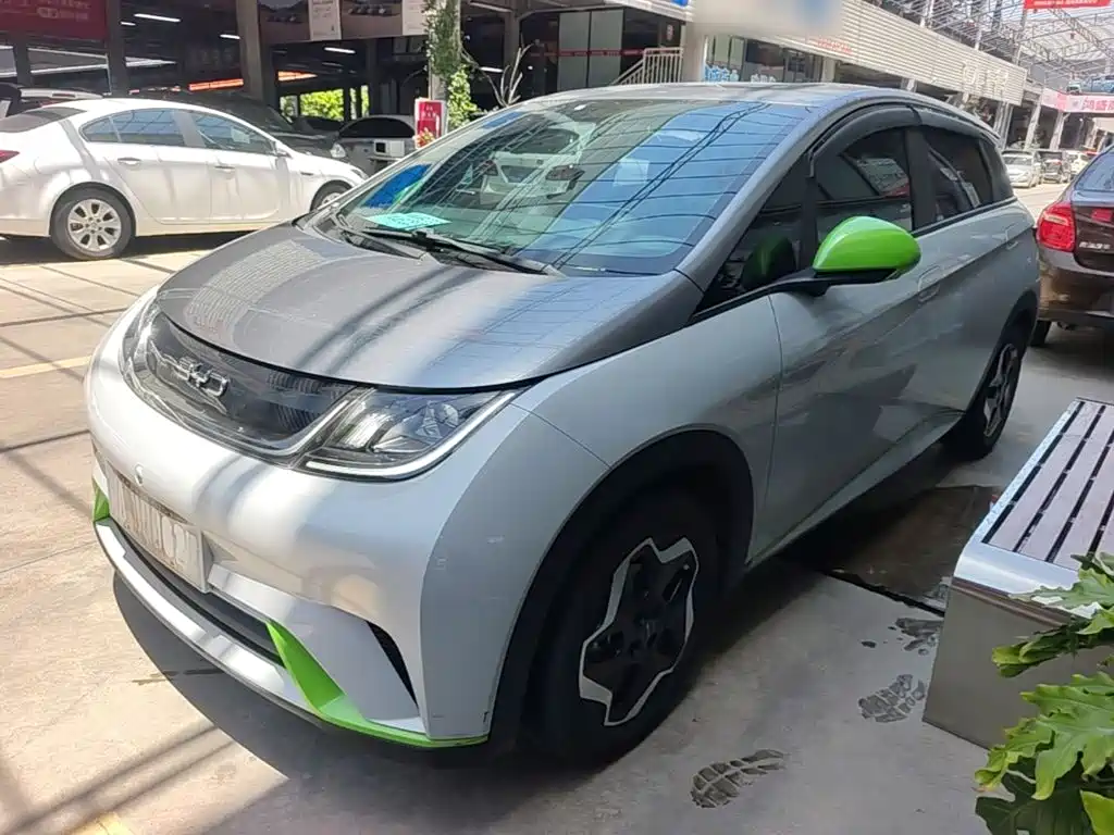 BYD Dolphin 2022