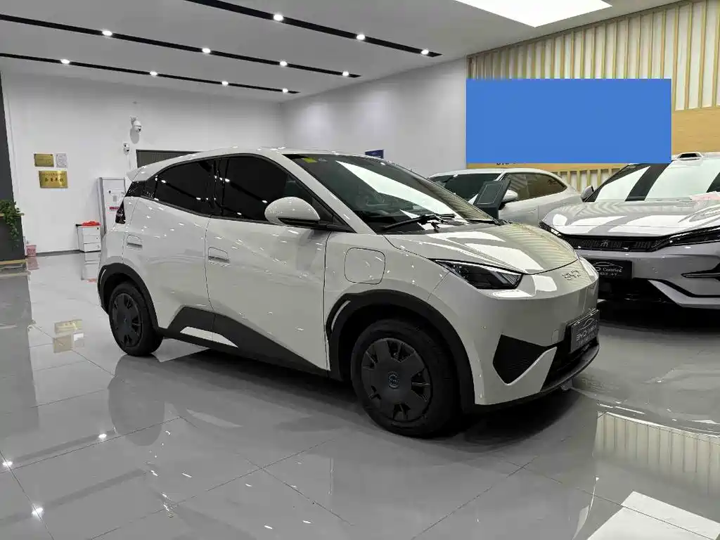 BYD Seagull 2025