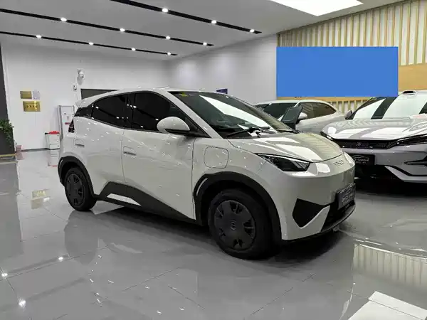 BYD Seagull 2025
