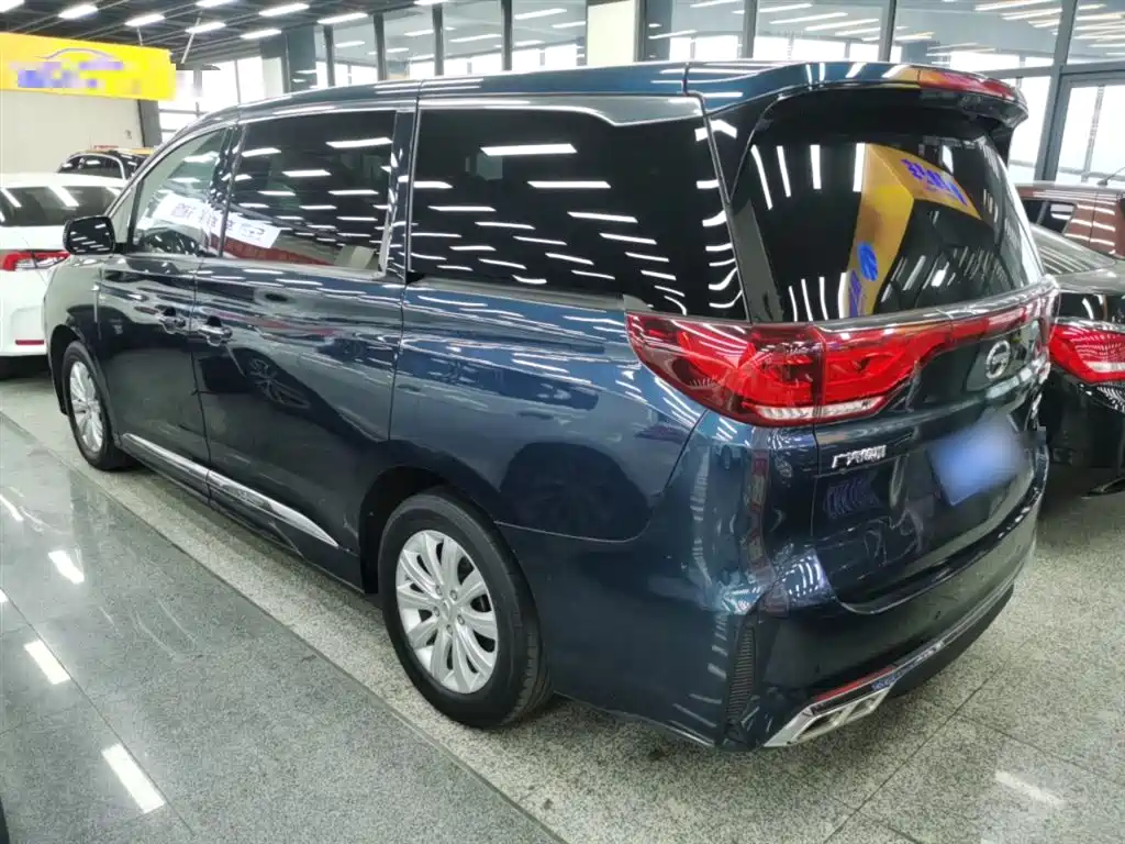 GAC Motor Trumpchi M8 2020 — фото 23