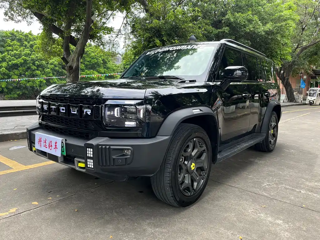 Shanhai Traveller C-DM 2025