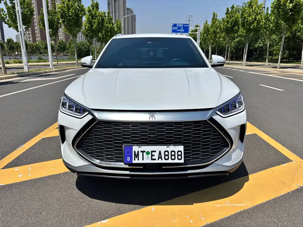 BYD PLUS New Energy 2023 — фото 2