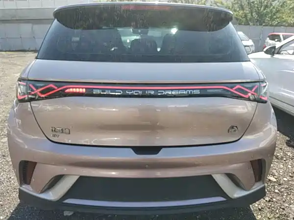 BYD Dolphin 2021