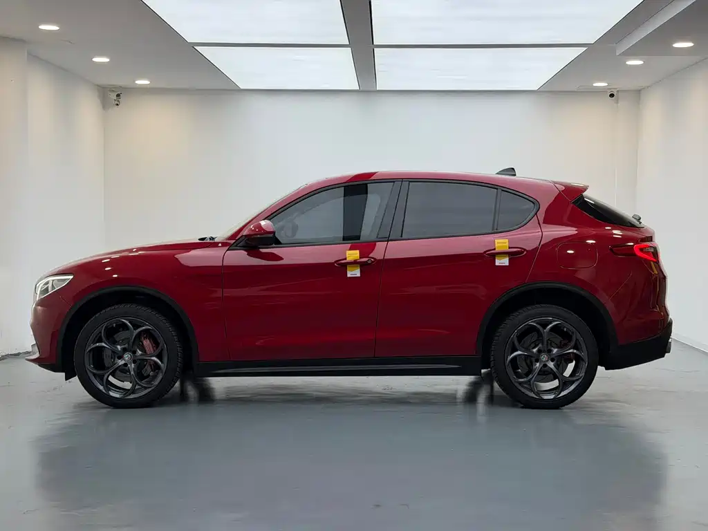 Alfa Romeo Stelvio 2019 — фото 13