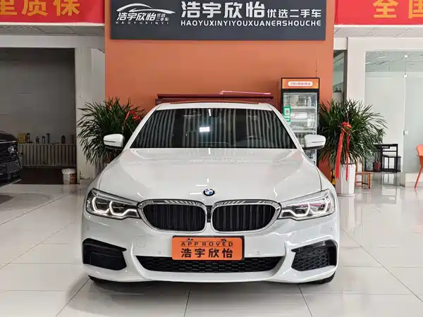 BMW 5 Series 2019