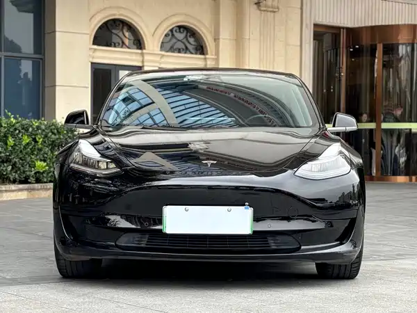 Tesla Model 3 2020