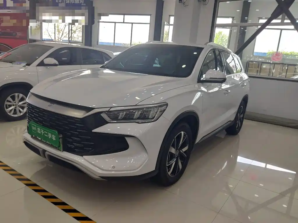 BYD Song Pro New Energy 2025 — фото 2
