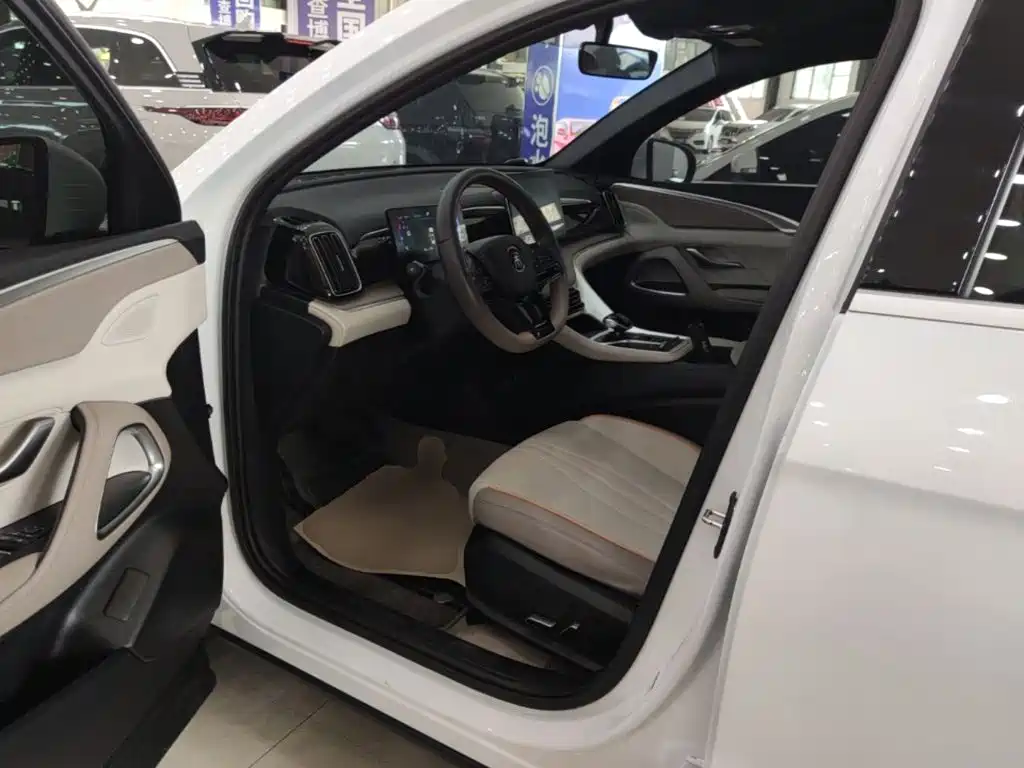 BYD Song Pro New Energy 2025 — фото 16
