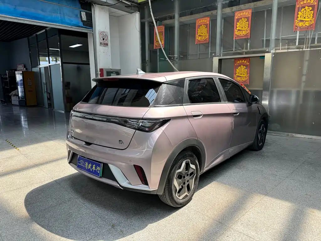 BYD Dolphin 2023 — фото 11
