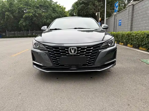 Changan Ruicheng CC 2021