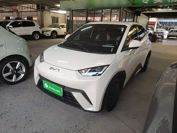 BYD Seagull 2025