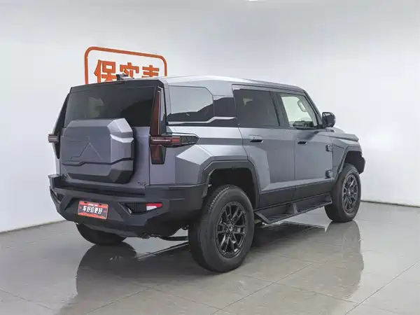 Mengshi 917 2023