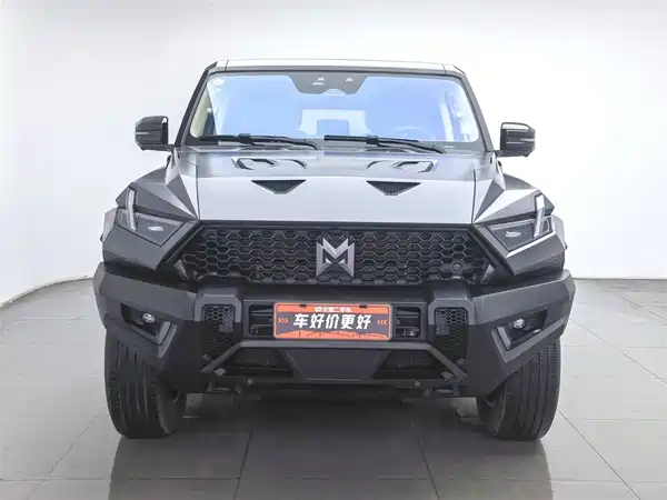 Mengshi 917 2023