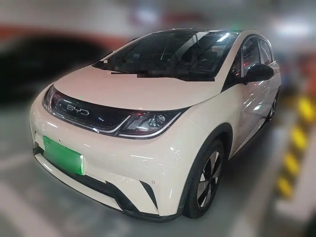 BYD Dolphin 2024