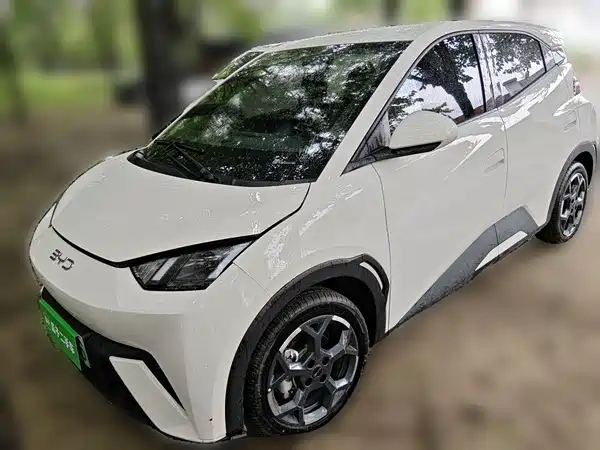 BYD Seagull 2024