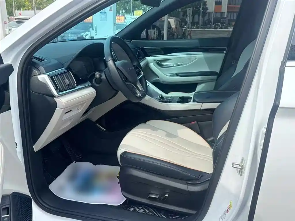 BYD PLUS New Energy 2023 — фото 15