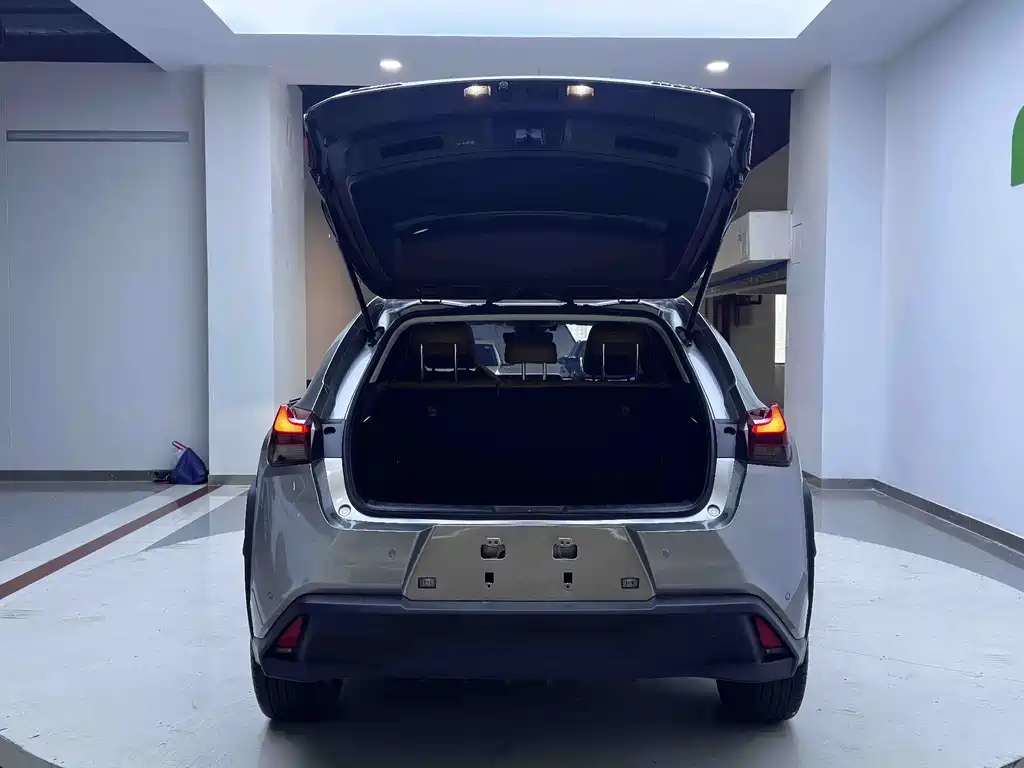 Lexus UX New Energy 2022 — фото 19