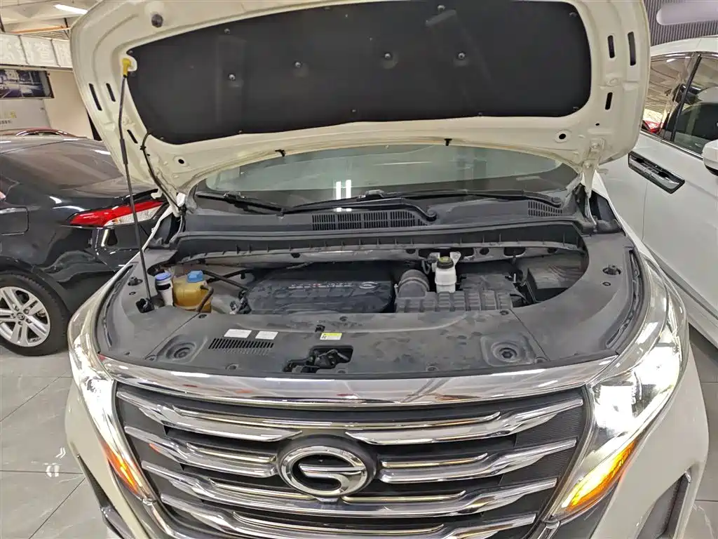 GAC Motor Trumpchi M8 2020 — фото 16