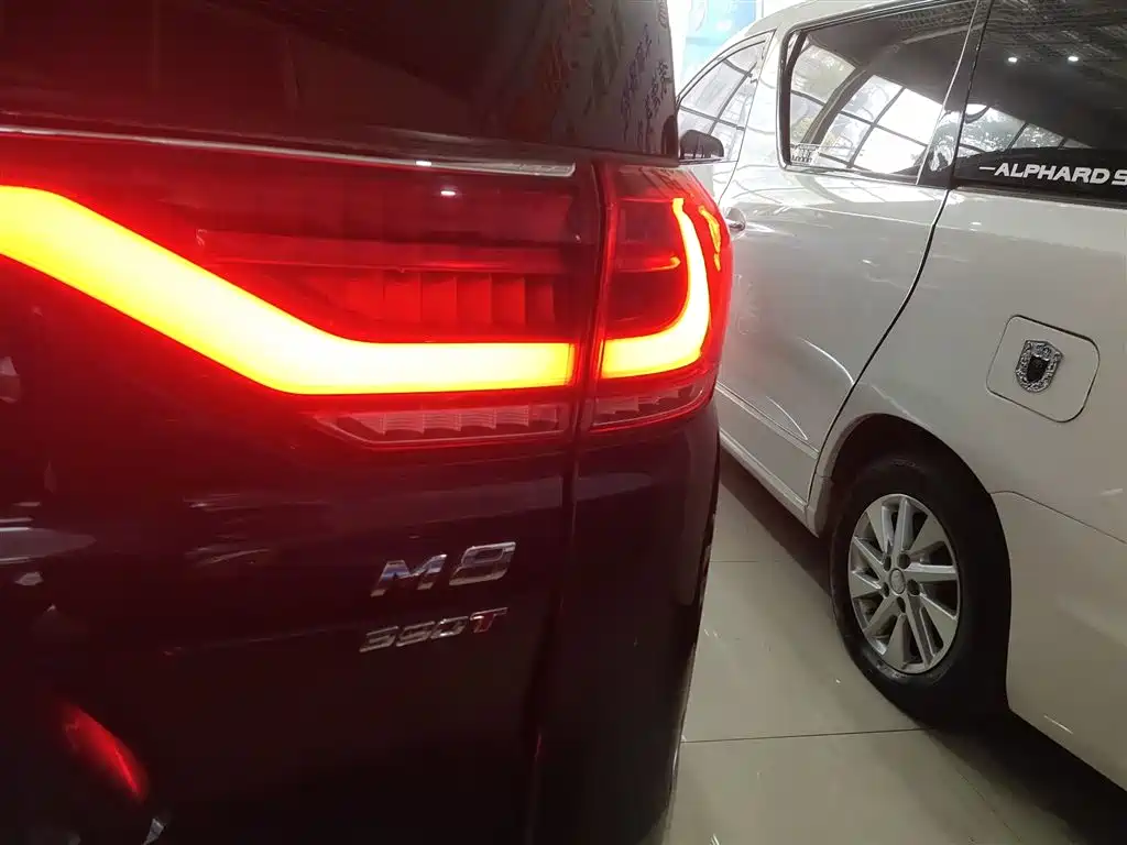 GAC Motor Trumpchi M8 2021 — фото 24
