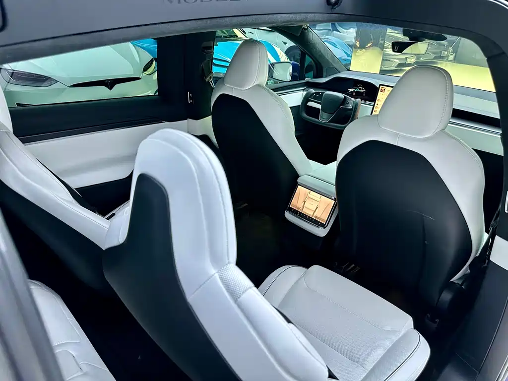 Tesla Model X 2023 — фото 12