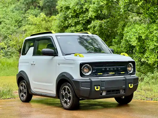 Geely Galaxy Panda 2024