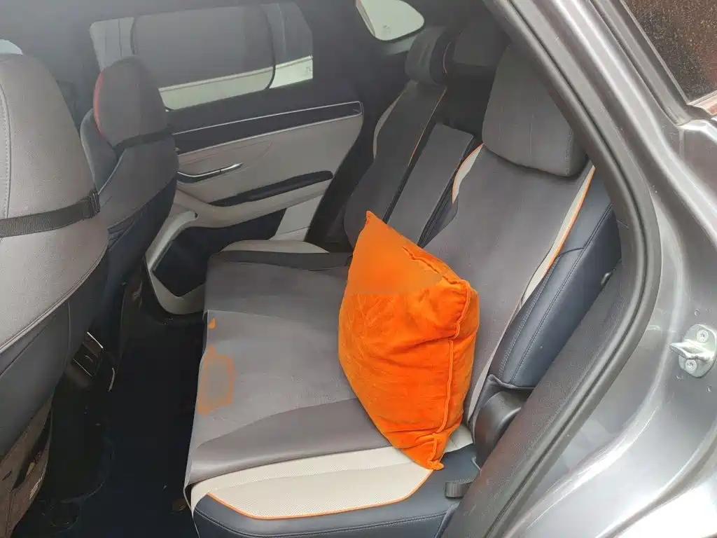 BYD Song PLUS New Energy 2022 — фото 13