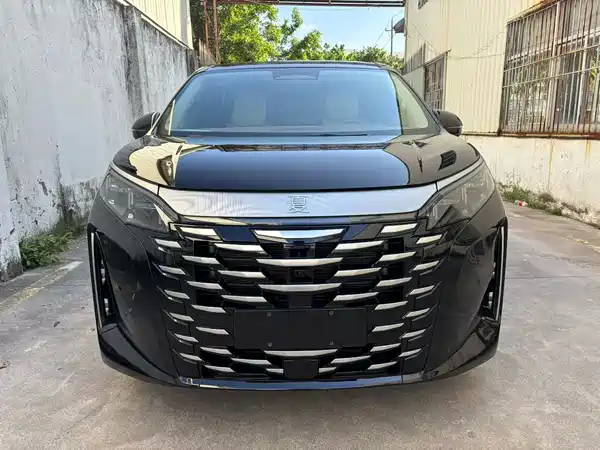 BYD Summer 2025