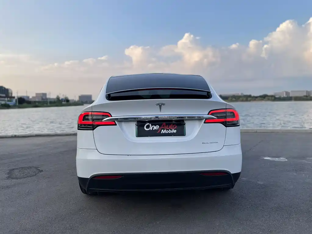 Tesla Model X 2020 — фото 6