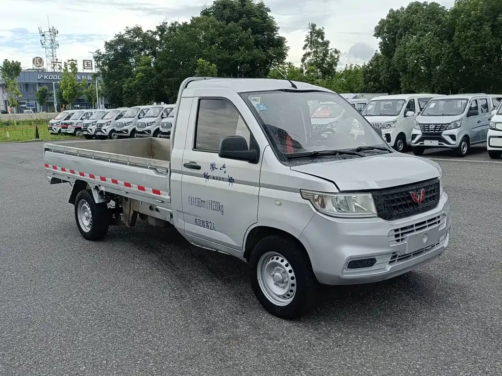 Wuling Rongguang New Truck 2019
