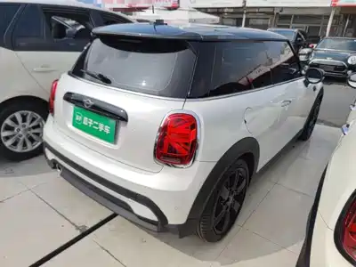 MINI MINI 2024