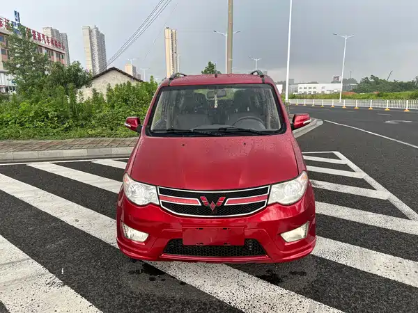 Wuling Hongguang 2014