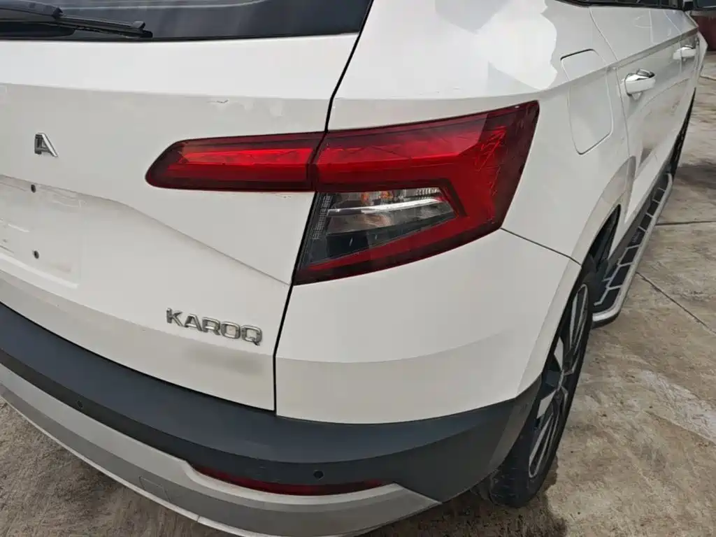 Skoda Karoq 2020 — фото 8