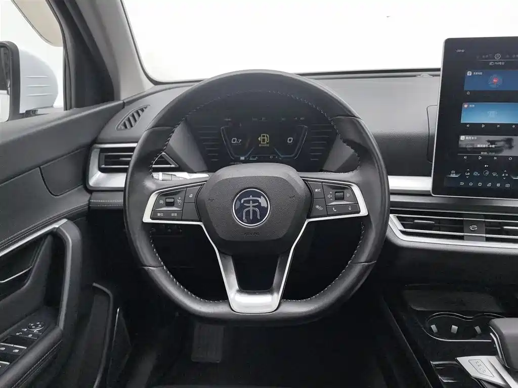 BYD Pro 2020 — фото 11
