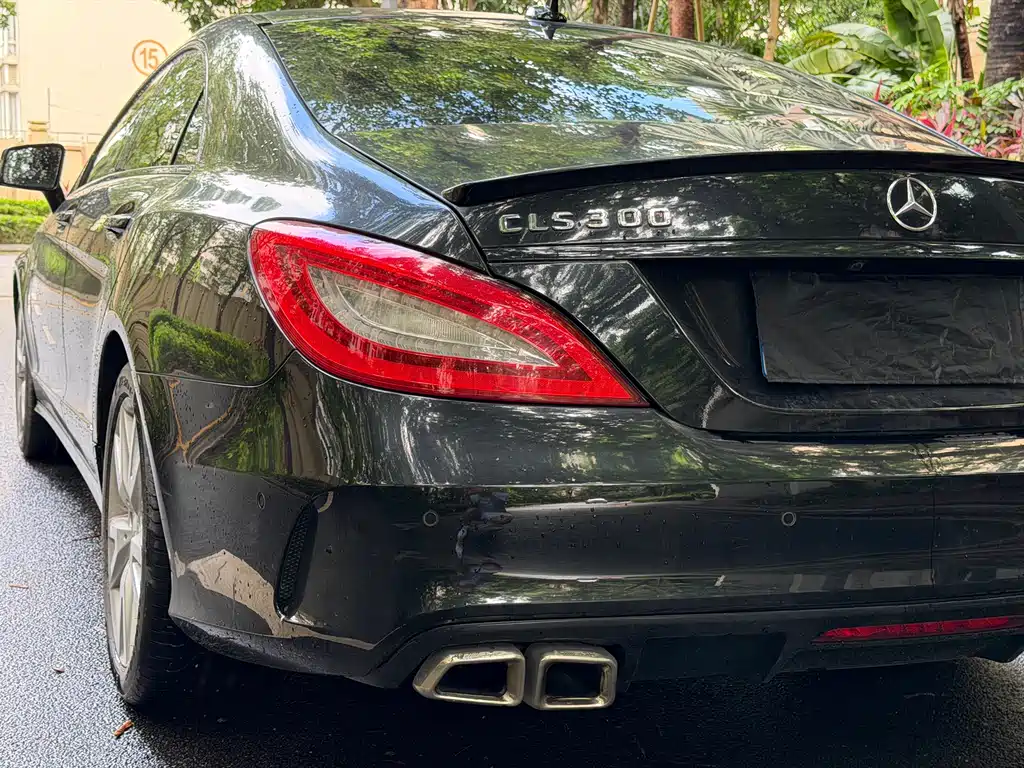 Mercedes-Benz CLS 2013 — фото 12
