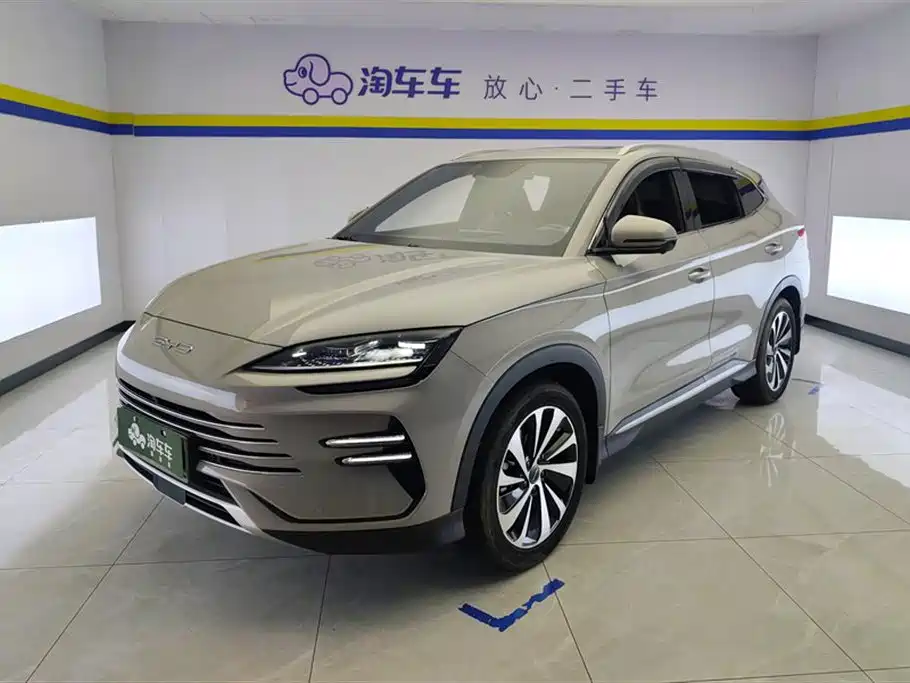 BYD Song PLUS New Energy 2024 — фото 1