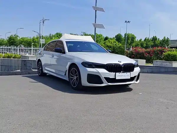 BMW 5 Series New Energy 2021