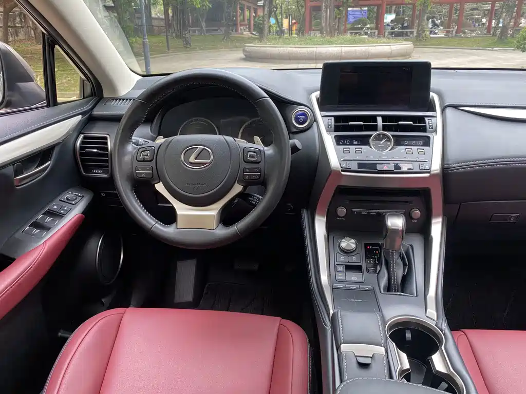 Lexus NX 2020 — фото 13