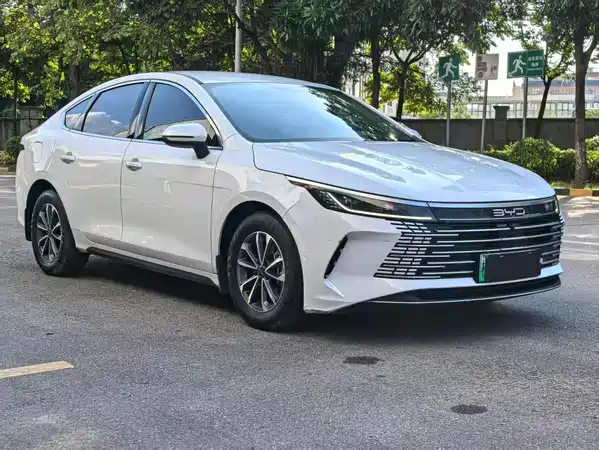 BYD Destroyer 05 2024