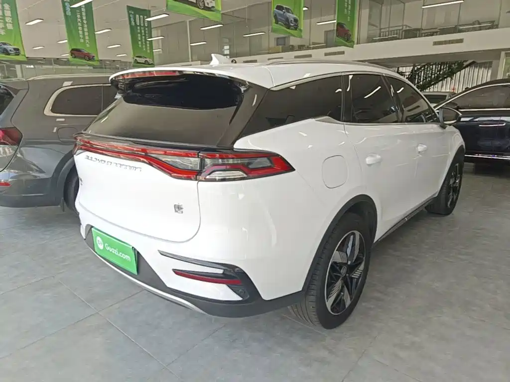 BYD Tang New Energy 2024 — фото 7