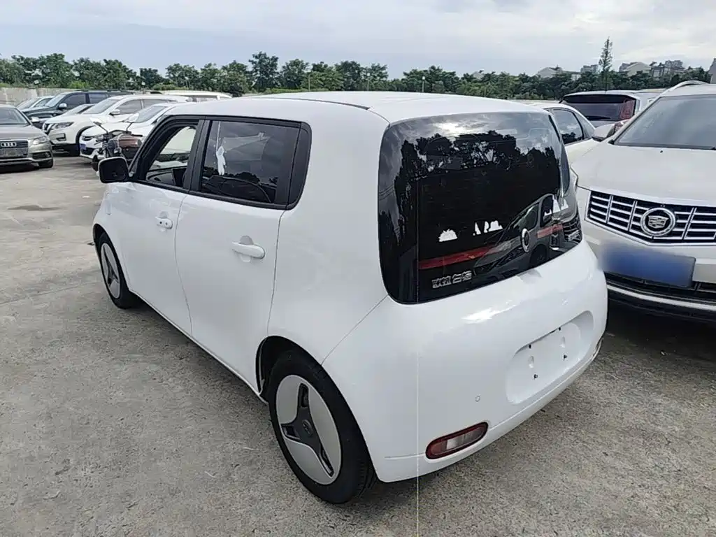 Ora White Cat 2021