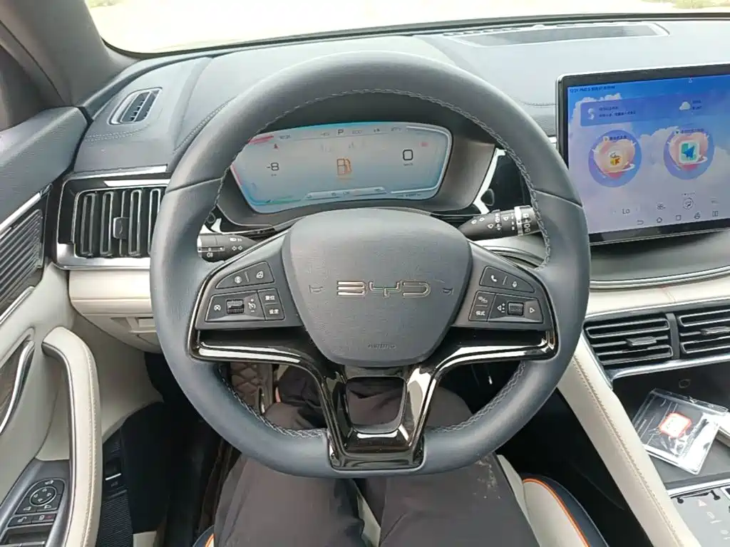 BYD Song PLUS New Energy 2024 — фото 11