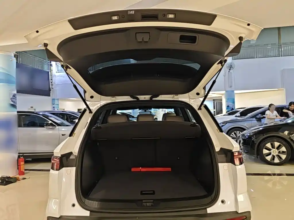 BYD Song Pro New Energy 2023 — фото 19