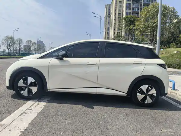 BYD Dolphin 2024