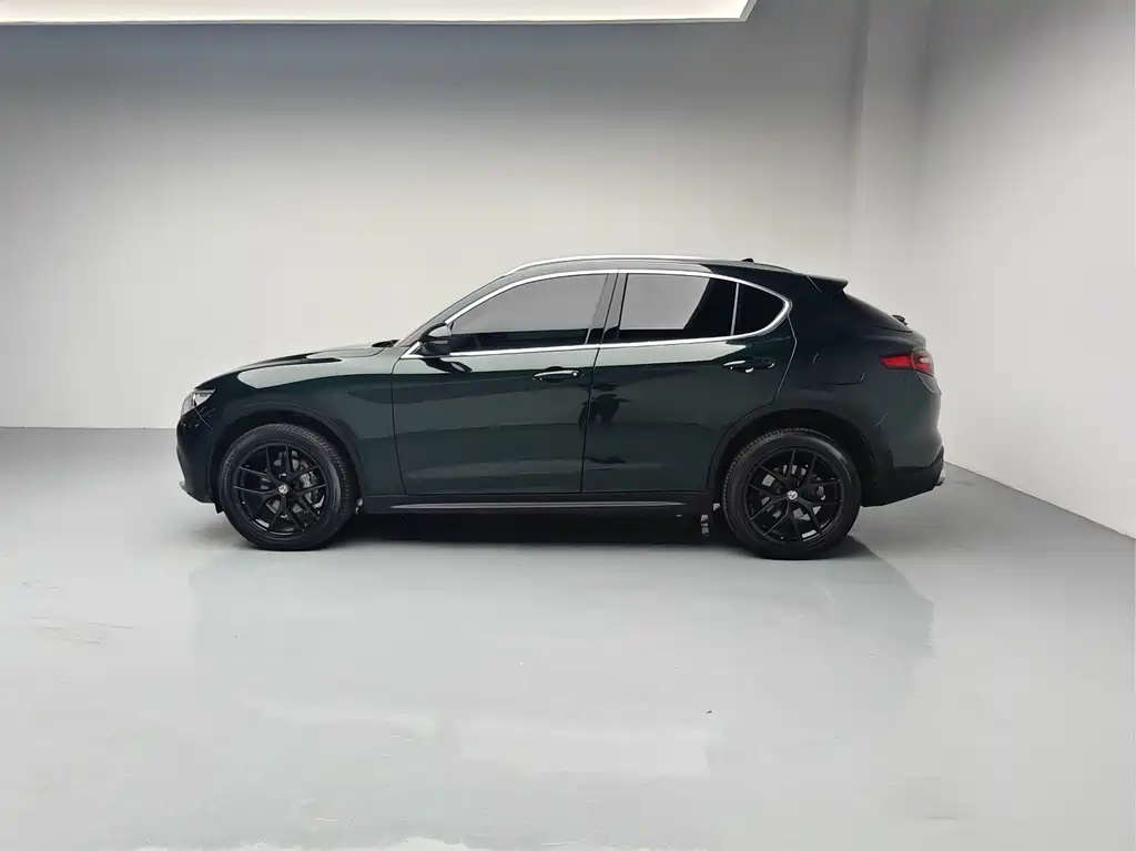 Alfa Romeo Stelvio 2021 — фото 4
