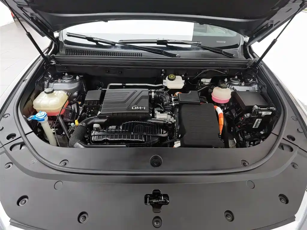 BYD Pro New Energy 2022