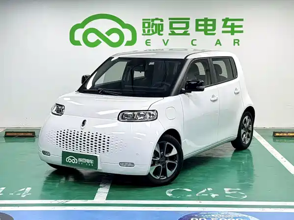 Ora White Cat 2021