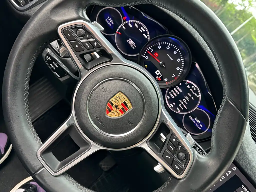Porsche Cayenne 2021 — фото 8