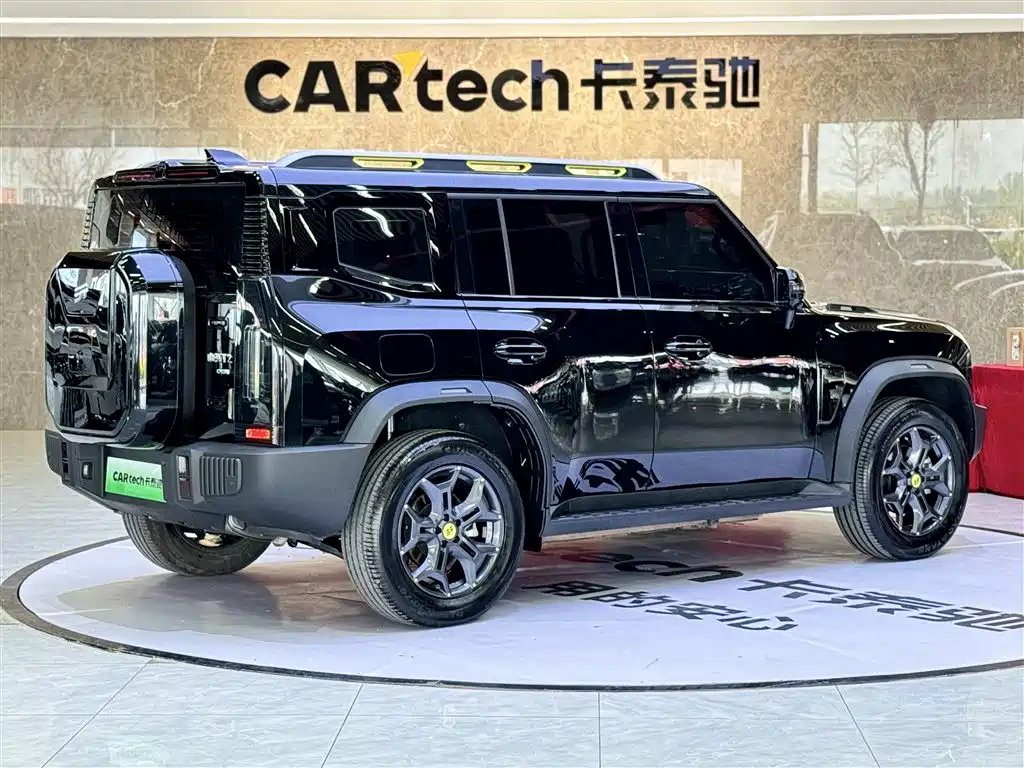 Shanhai Traveller C-DM 2025 — фото 5