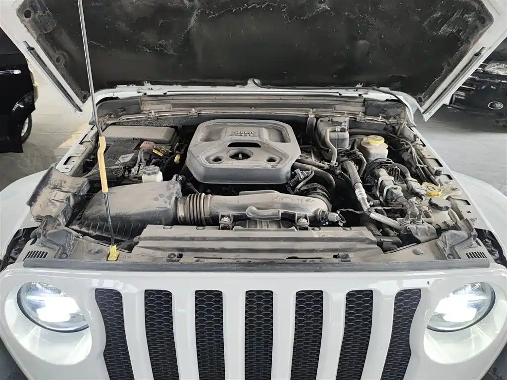 Jeep Wrangler 2020 — фото 20